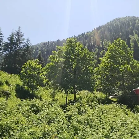 Rainbow Gokkusagi Appartement Ayder Yaylasi